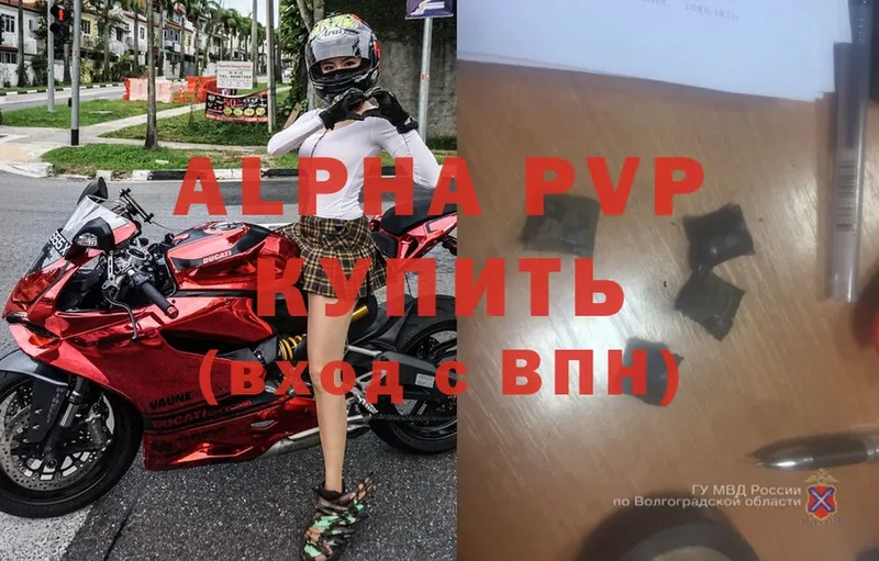 APVP СК КРИС  Кизилюрт 