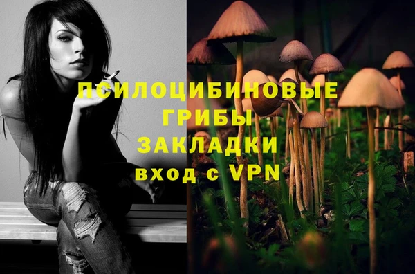 МДПВ Нязепетровск
