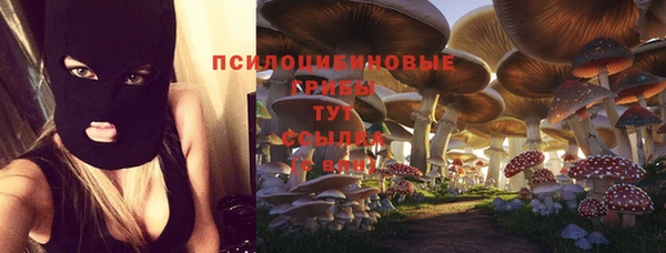 кокс Няндома