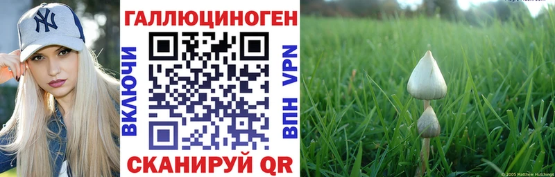 маркетплейс наркотические препараты  Кизилюрт  Галлюциногенные грибы MAGIC MUSHROOMS 