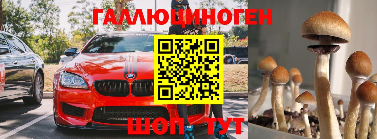 Псилоцибиновые грибы мицелий  Вход с VPN  Галлюциногенные грибы мицелий  Кизилюрт 
