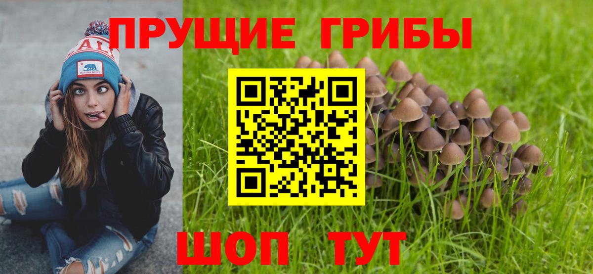 Псилоцибиновые грибы Psilocybine cubensis Кизилюрт