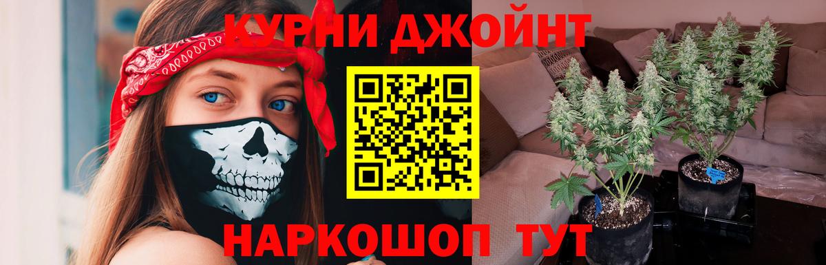 Бошки Шишки OG Kush Кизилюрт